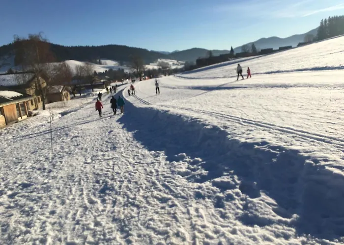 Au Pied Du Vercors Tout Est Permis