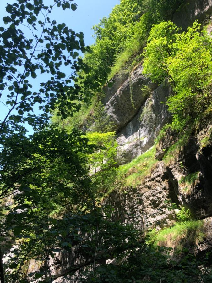 Au Pied Du Vercors Est Permis Apartamento La Riviere (Isere)