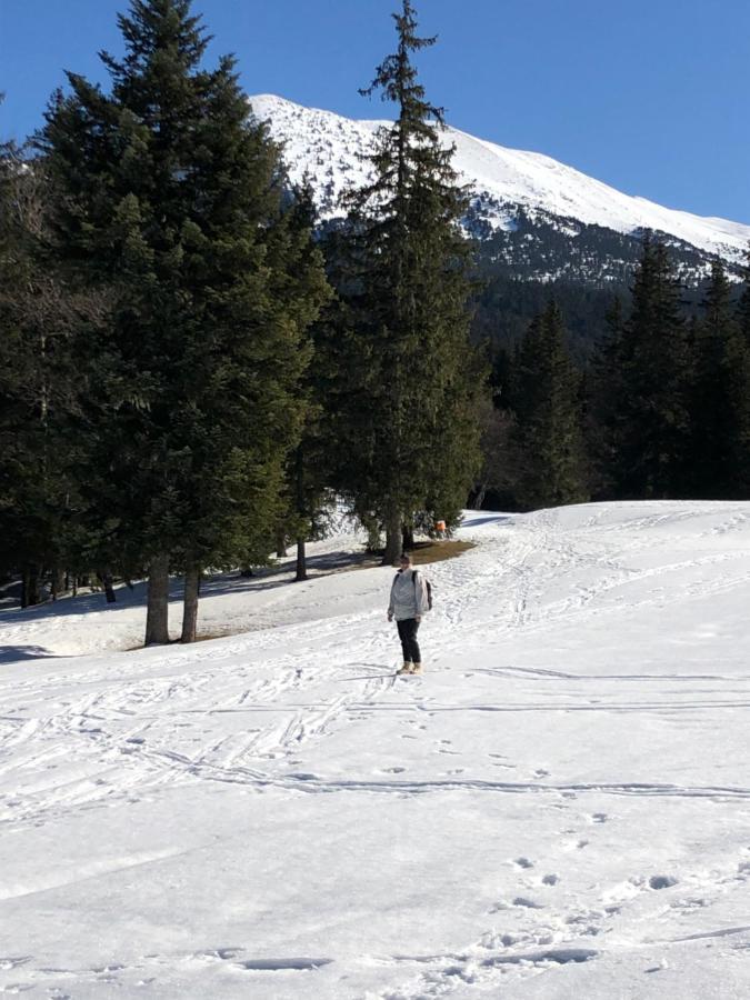 Au Pied Du Vercors Est Permis *