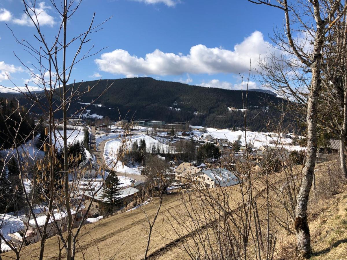 Au Pied Du Vercors Est Permis Apartment La Riviere (Isere)