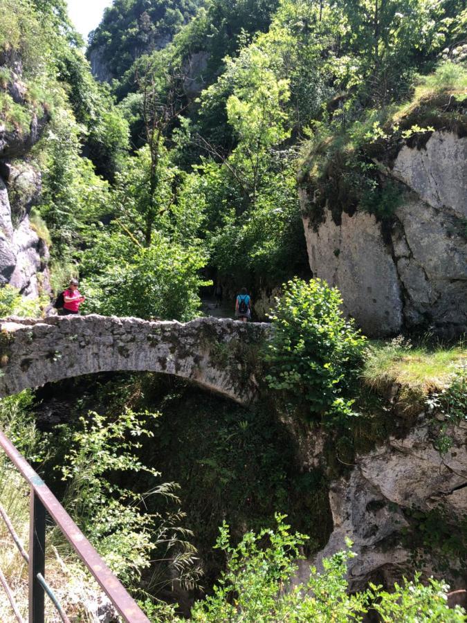 Au Pied Du Vercors Est Permis Apartment La Riviere (Isere)